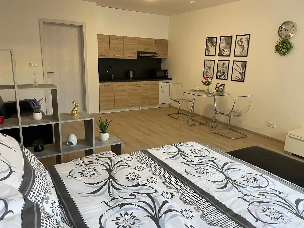 Tomy Ng. Appartement Praag 0*,  Tsjechië